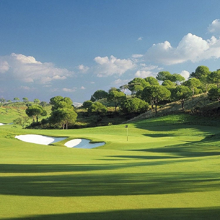 lawn golf lawn golf